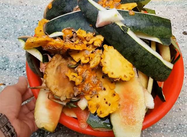 3 Cách làm Phân bón hữu cơ tại nhà đơn giản từ rác thải nhà bếp