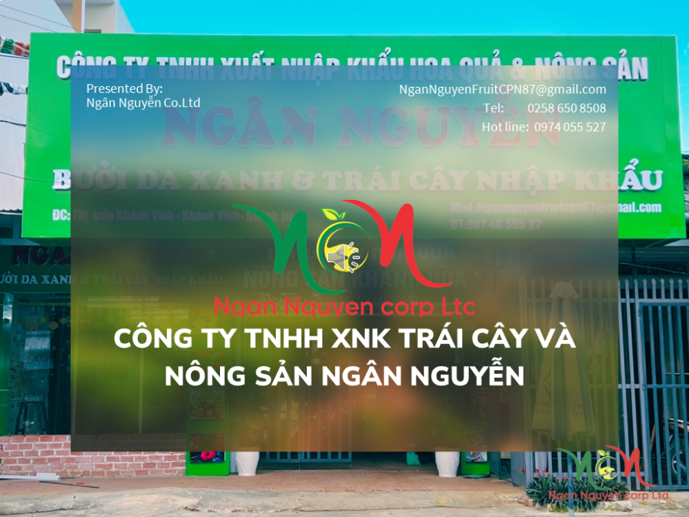 Giới Thiệu Chung Về Chúng Tôi - Ngân Nguyễn Co.LTD