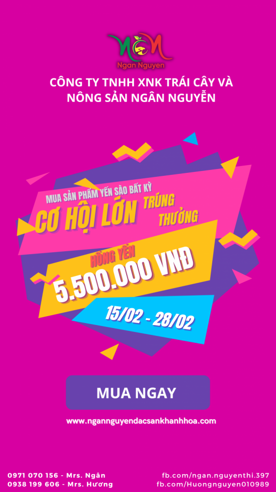 promotion yến 15 02 28 02