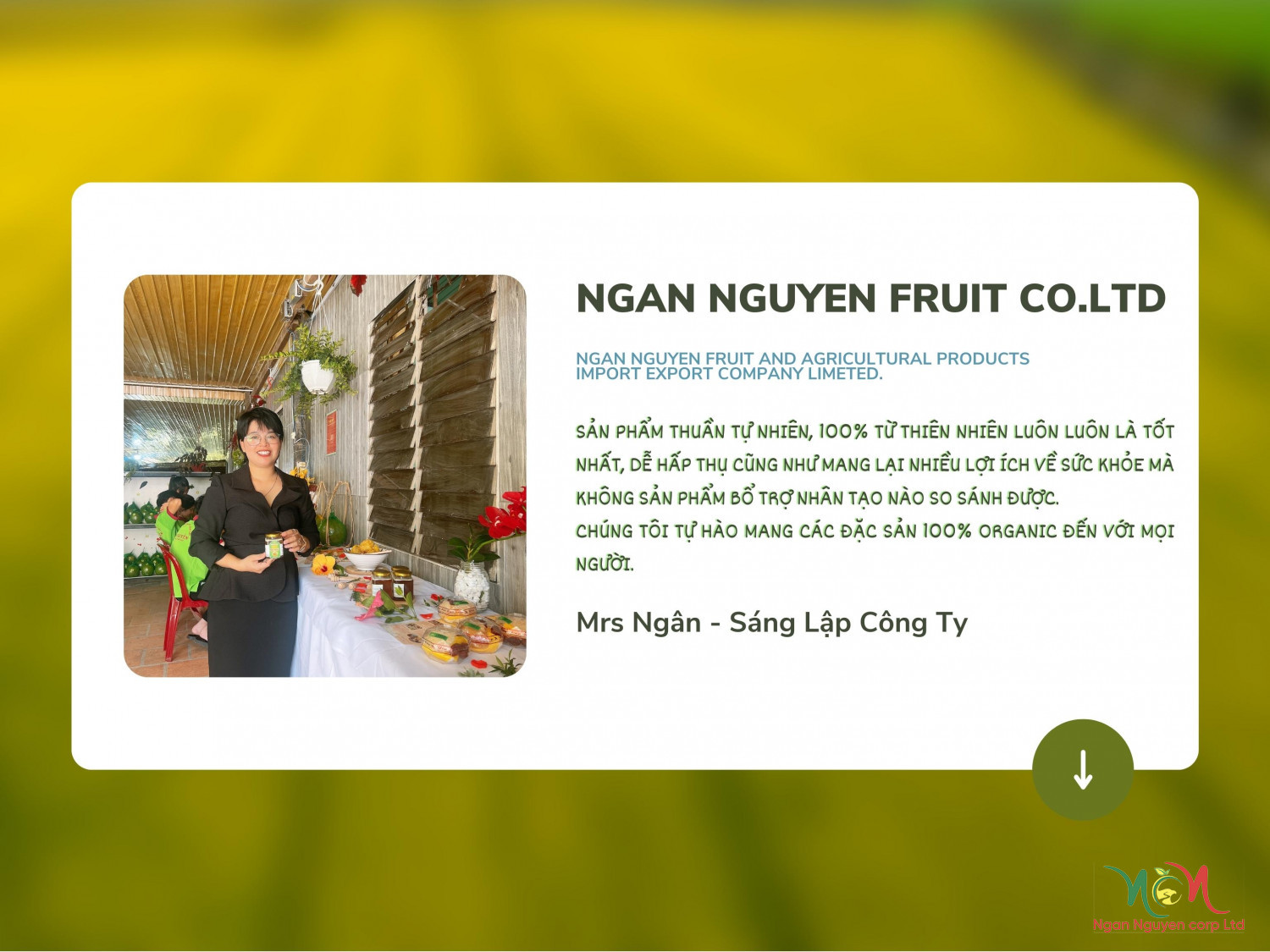 trang 3 gtc ngan nguyen